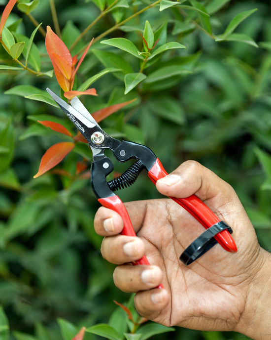 Garden Tools