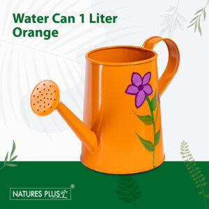 Water Jug Orange