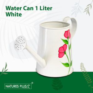 Water Jug White