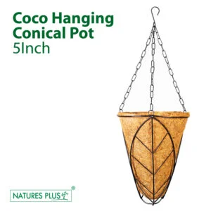 Coco Hanging Conical Pot 5 Inch (Pack of 3)
