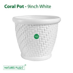 Coral Pot White 9 Inch (Pack of 3)