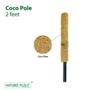 Coco Pole - 2 Feet
