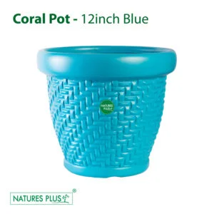 Coral Pot Blue - 12 Inch (Pack of 2)