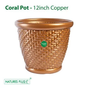 Coral Pot Copper - 12 Inch (Pack of 2)