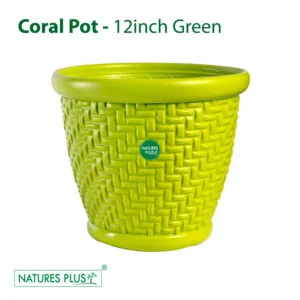 Coral Pot Green - 12 Inch (Pack of 2)