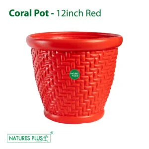 Coral Pot Red - 12 Inch (Pack of 2)