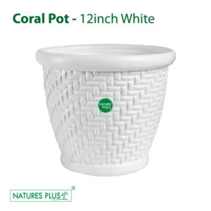 Coral Pot White - 12 Inch (Pack of 2)