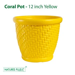 Coral Pot Yellow - 12 Inch (Pack of 2)
