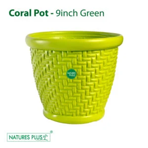 Coral Pot Green - 9 Inch (Pack of 2)
