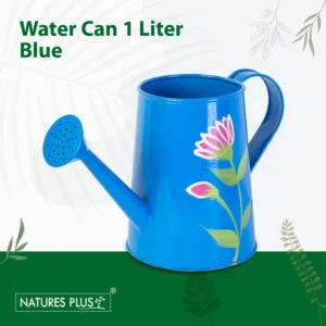 Water Jug Blue
