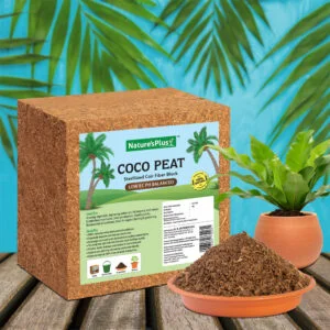 COCO PEAT STERILIZED BLOCK1kg